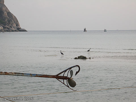 DSCN1465.jpg