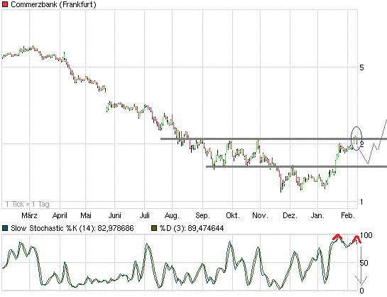 coba1y100212.gif