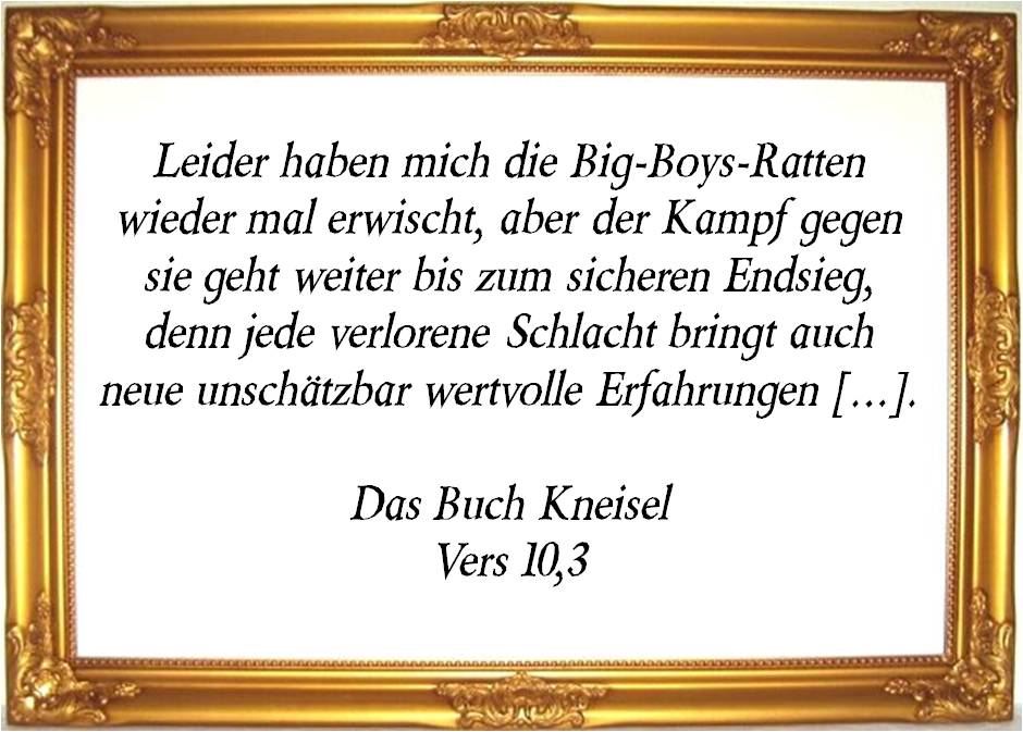 das_buch_kneisel.jpg