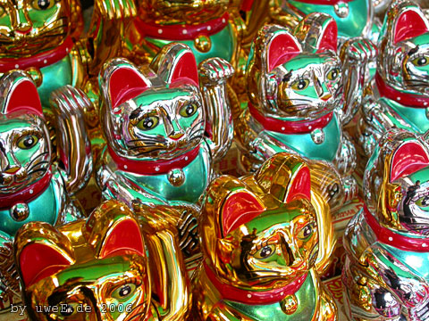 DSCN3328.jpg