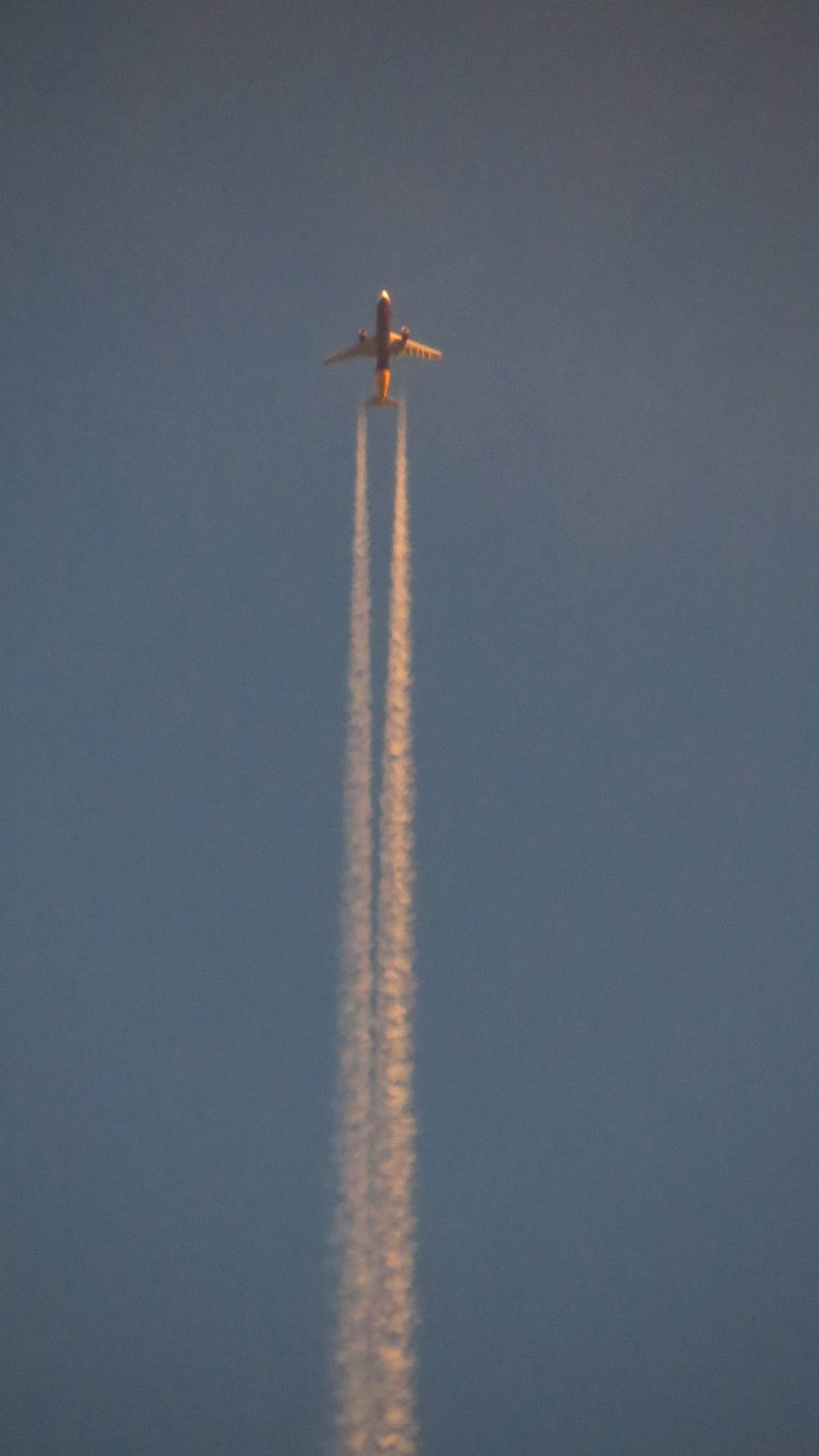 vogel_-_demnaechst_landeanflug_auf_ffm.jpg