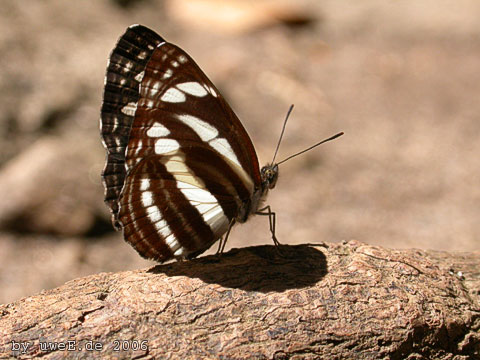DSCN3564.jpg