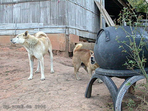 DSCN3617.jpg