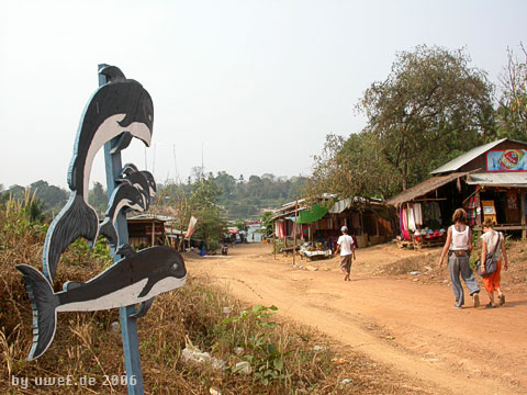 as06_uwee5991.jpg