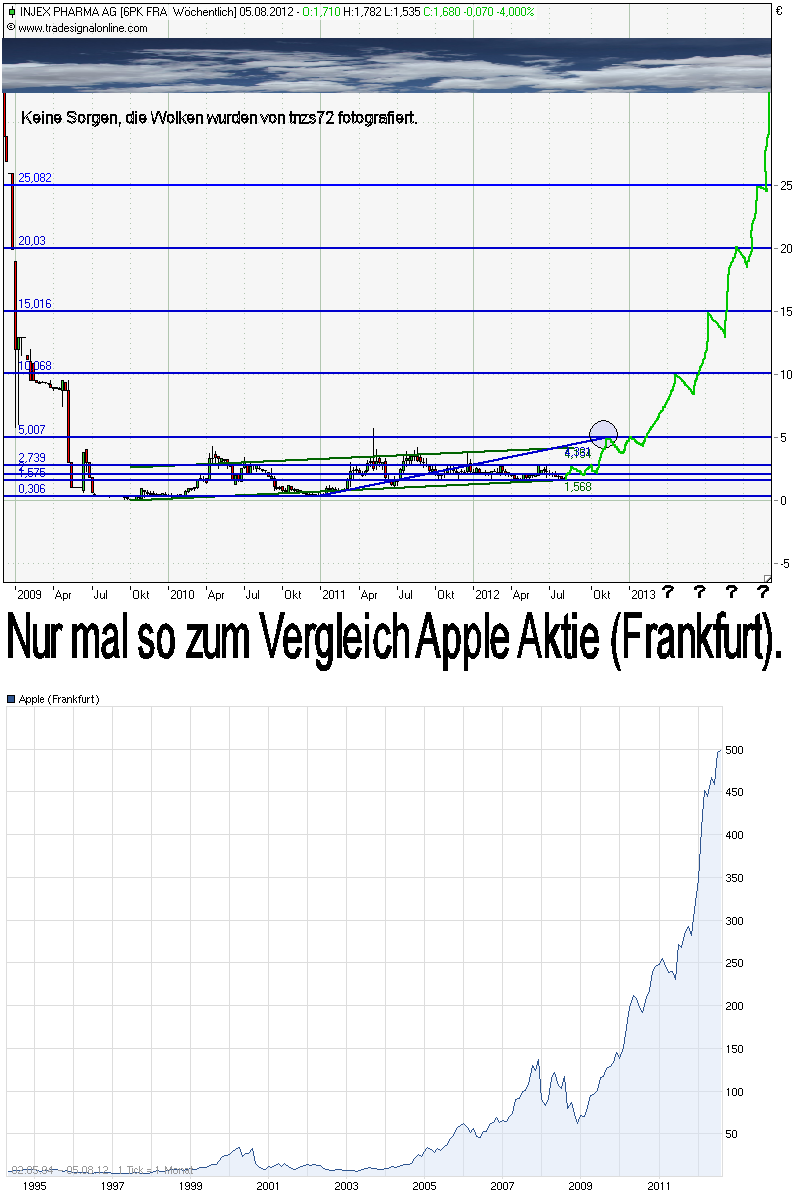chart_injex_kursziele_vergleich_apple_120805.png