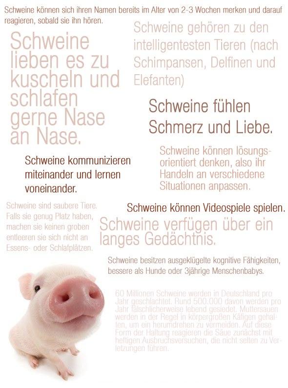 schweine_.jpg