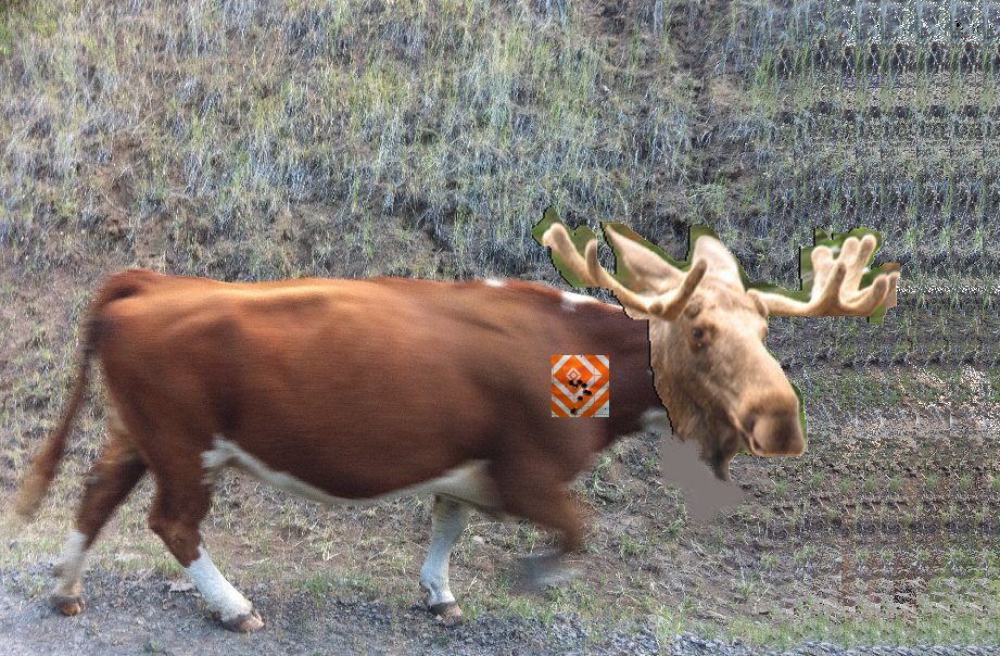 elchkuh.jpg