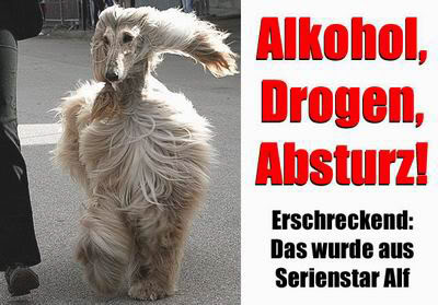alkohol_drogen_absturz.jpg