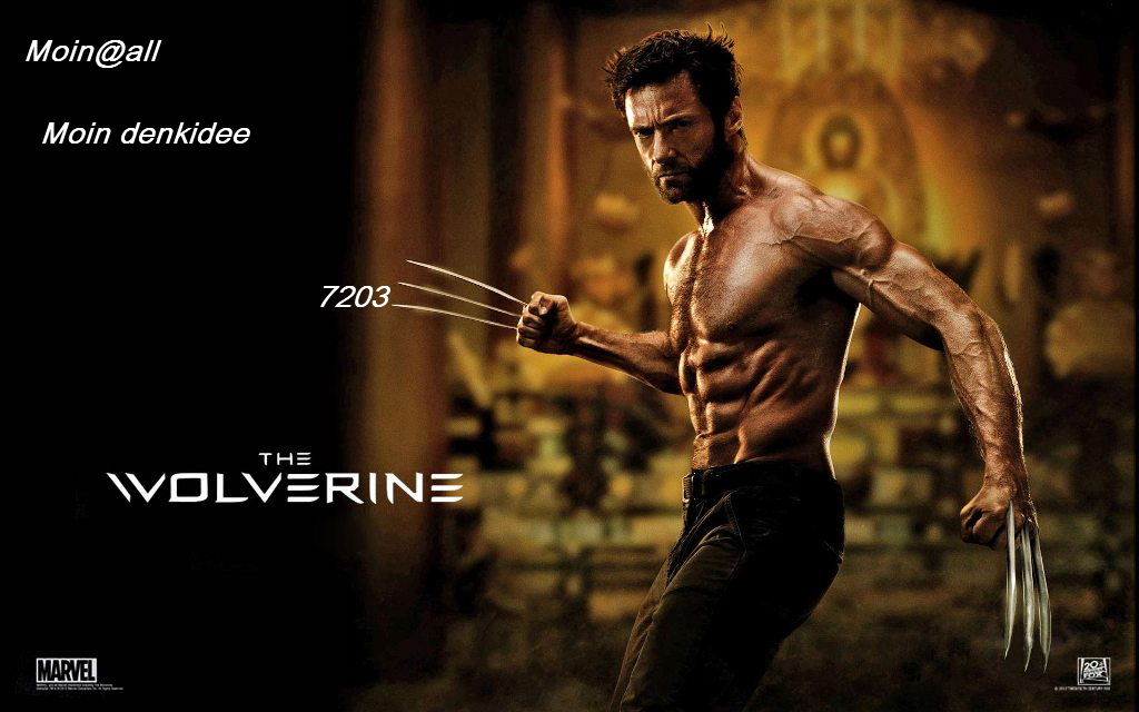 the_wolverine_2013_movie-wide-.jpg