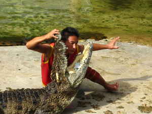 rw-anm-croc099-head_in-x300-q40.jpg