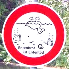 entenfuettern1.jpg