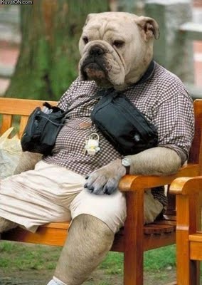 dog-man-129861-284-400.jpg