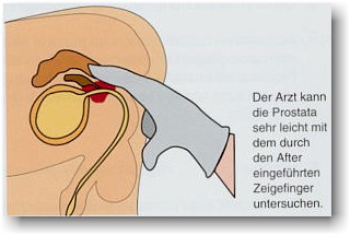 urologe.jpg