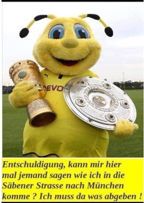 bvb.jpg