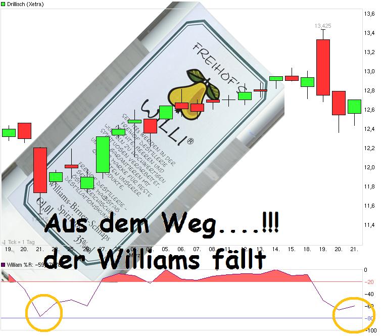 dri_willi.jpg