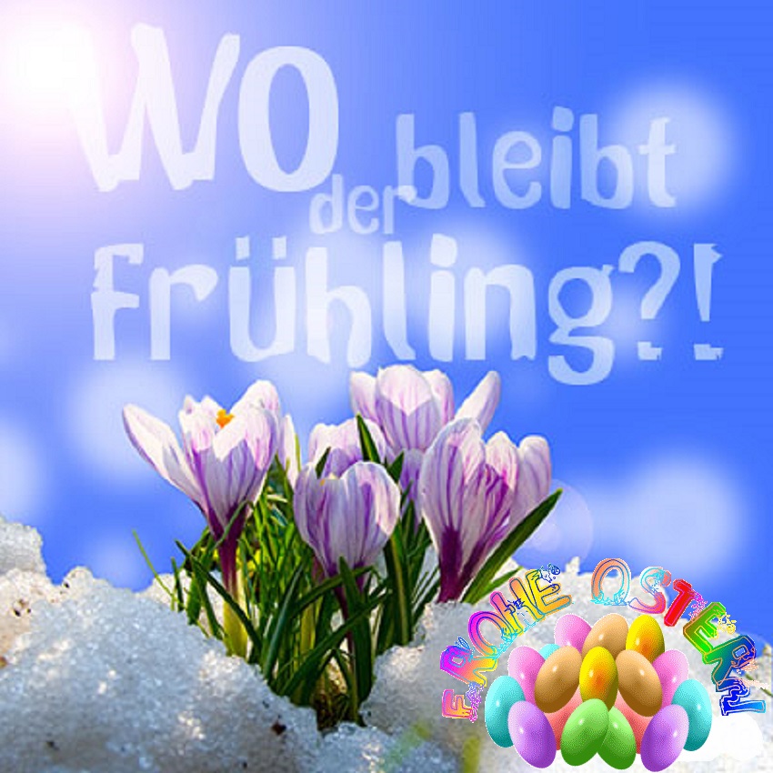 fruehling.jpg