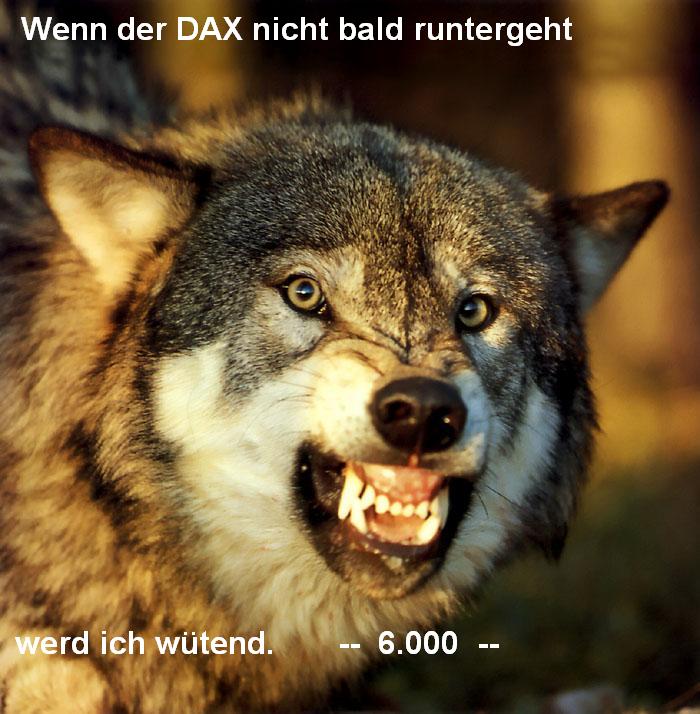 DAX.JPG