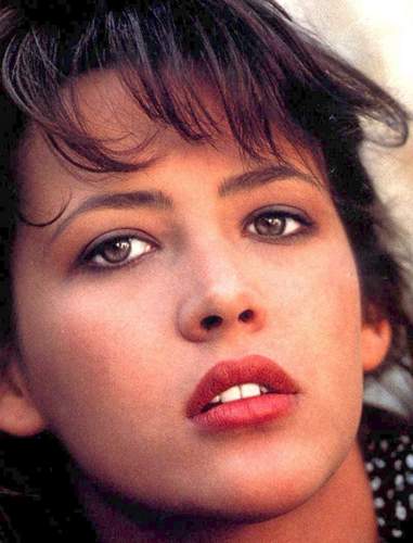 sophie-marceau-sophie-marceau-9978767-381-....jpg