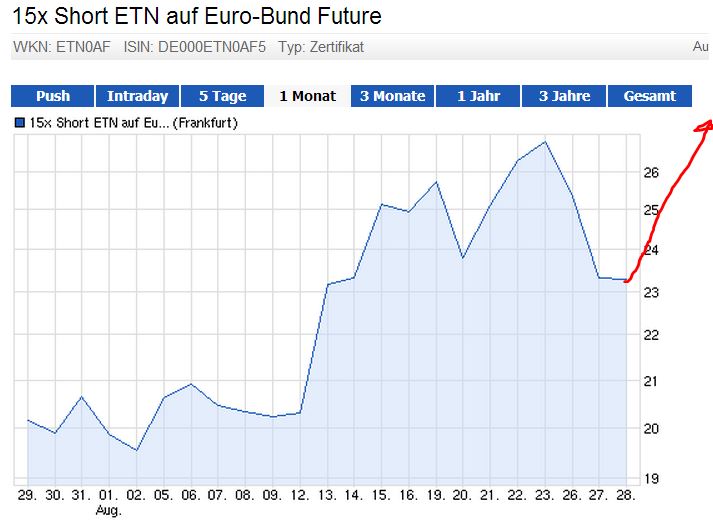 e_bund_fut_20130828.jpg