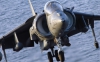 harrier_avatar_73742.jpg