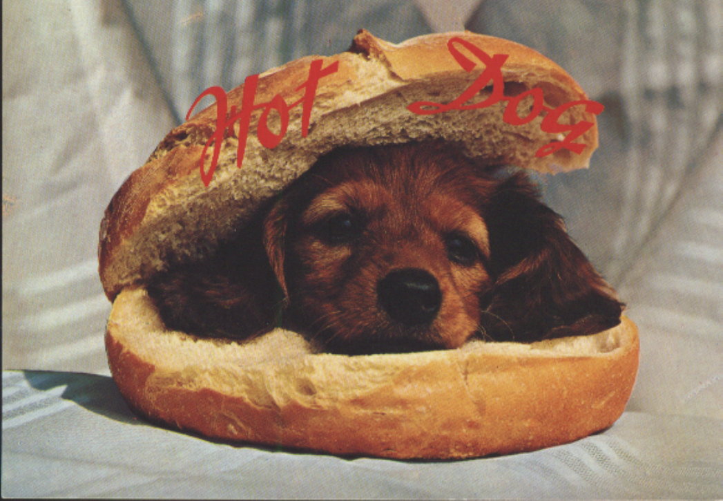 hot_dog.jpg