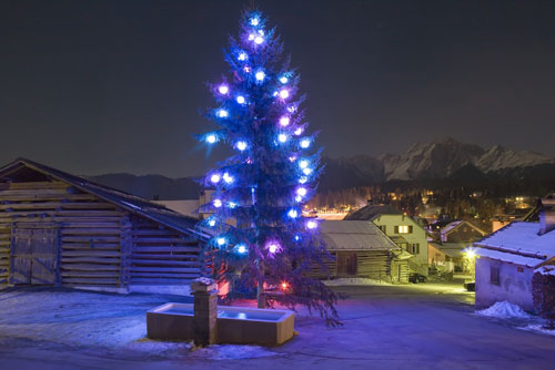 Weihnachtsbaum2.jpg