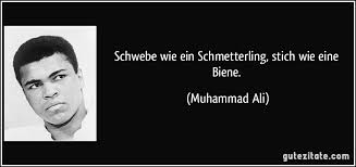 ali.jpg