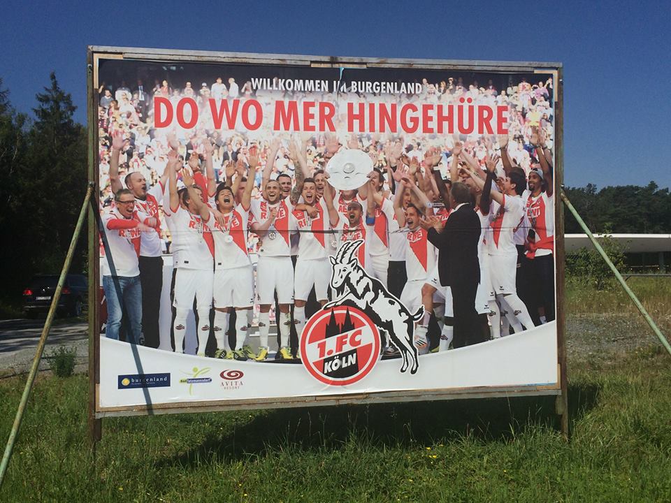 fc.jpg
