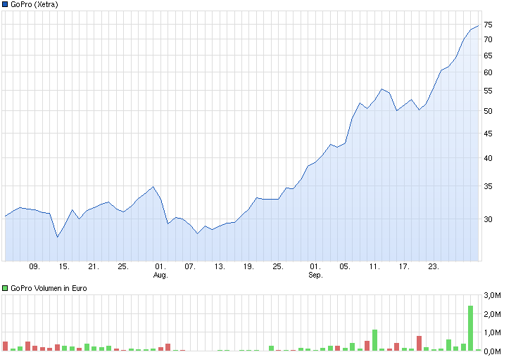 chart_quarter_gopro.png