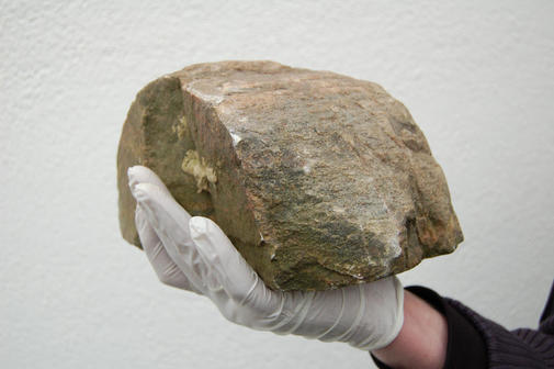 b-76-steinwurf-suche-nach-dna-....jpg