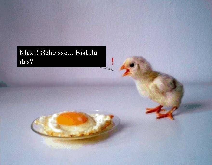 MaxbistDudas.jpg