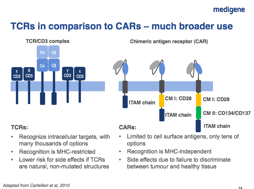 mdg-tcr-cart.png