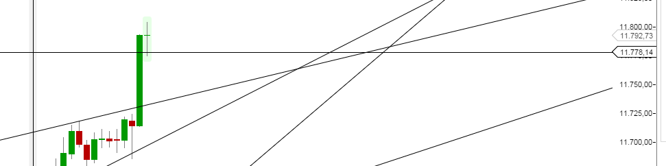hedge.png