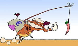 carotdonkey-300x176.jpg