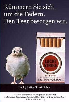 reda12.jpg