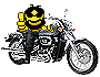 Harleyman.gif