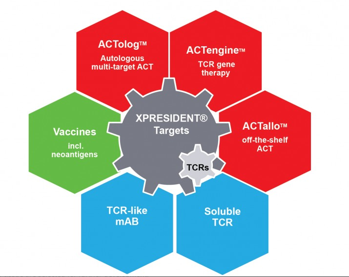 immatics-targets.png