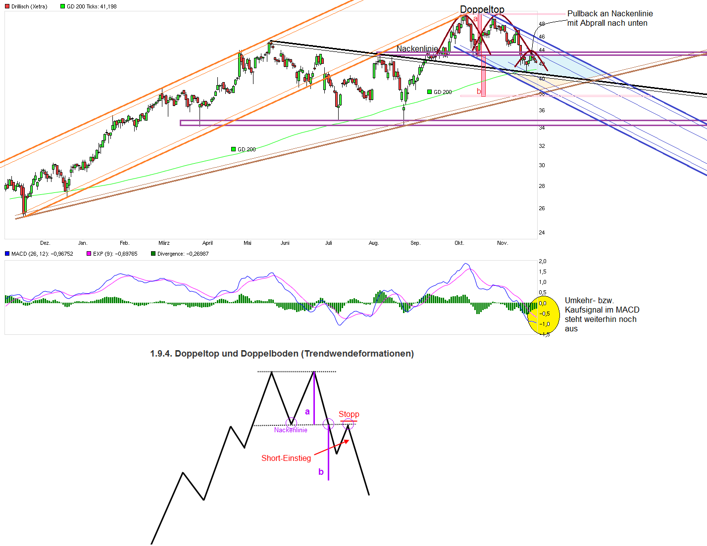 chart_year_drillisch.png