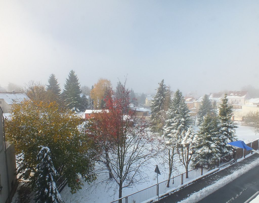 winter_2012.jpg