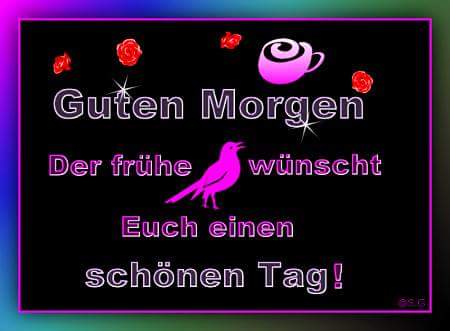 guten_morgen__der_fru__he_vogel.jpg