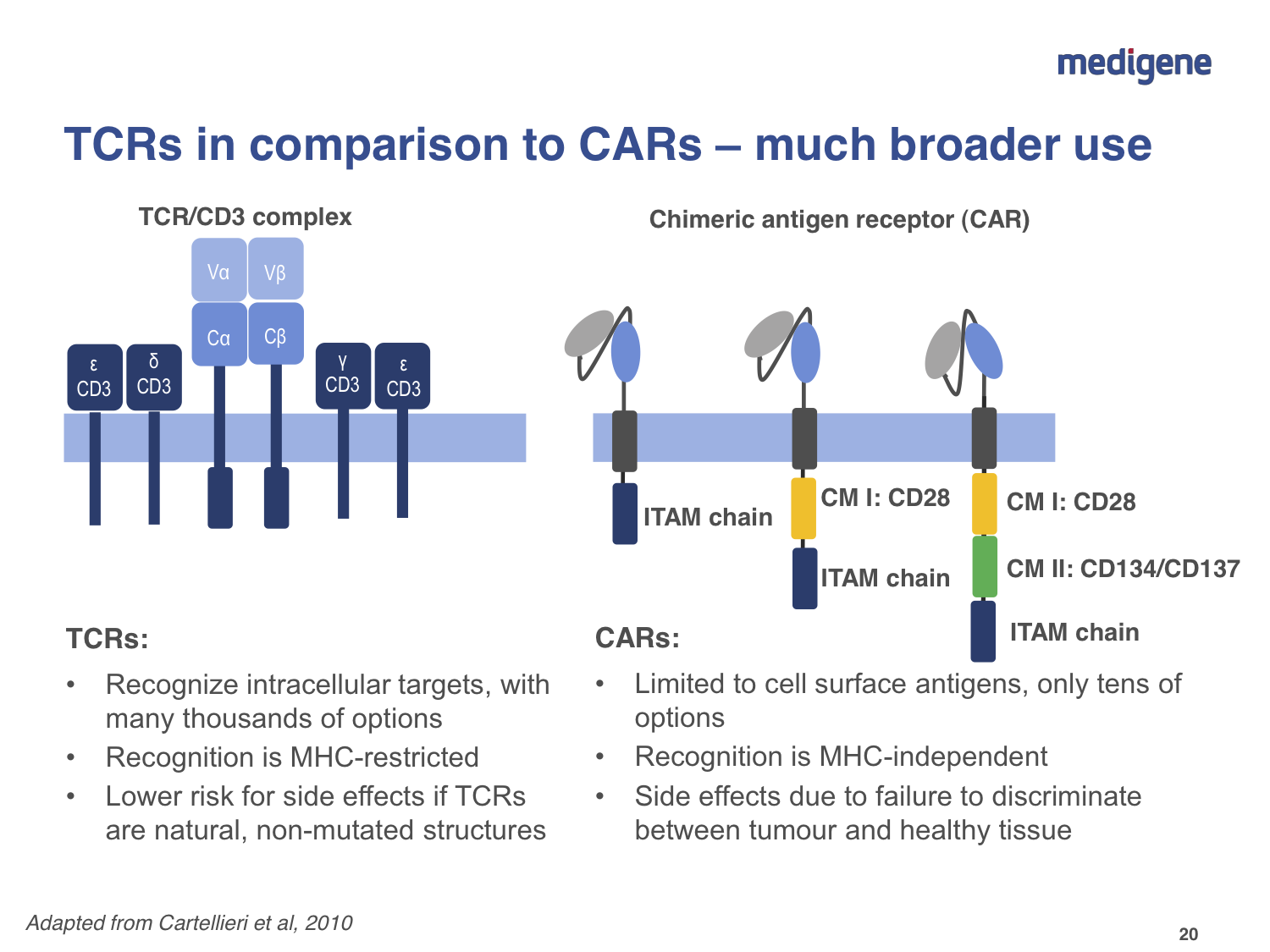 mdg-tcr-vs-car.png