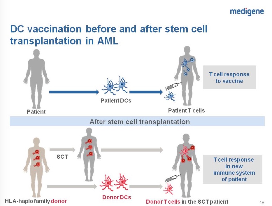 mdg-stem-cell-dc.jpg