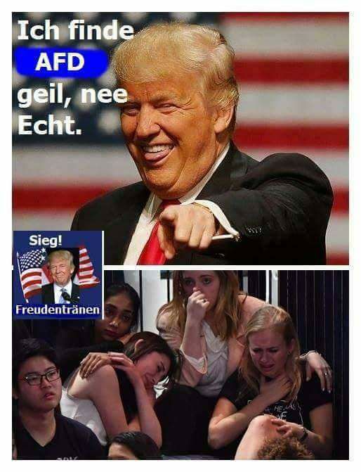 15109618_218127185290156_5190161275940....jpg