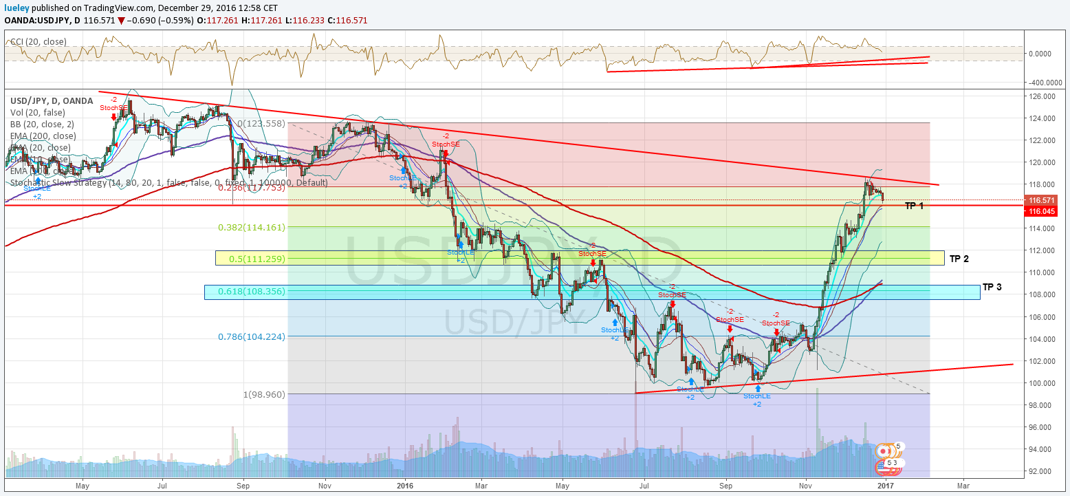 29122016_usdjpy_daily.png