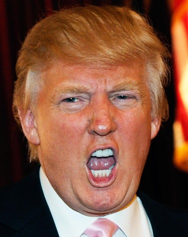 trump-2-377x475.jpg