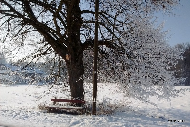 schneebankerl2017.jpg