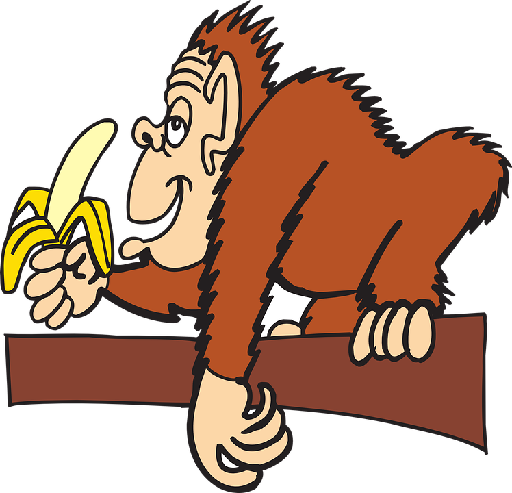 ape-44564_960_720.png