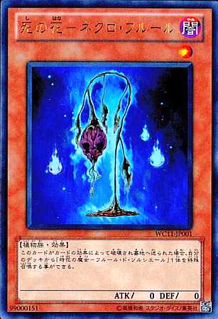 3100010226081-1.jpg