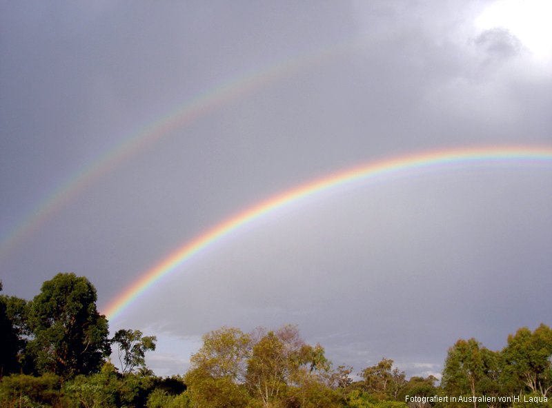 regenbogen1.jpg