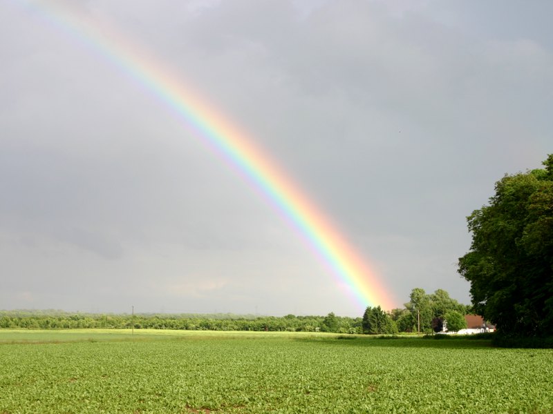 regenbogen2.jpg